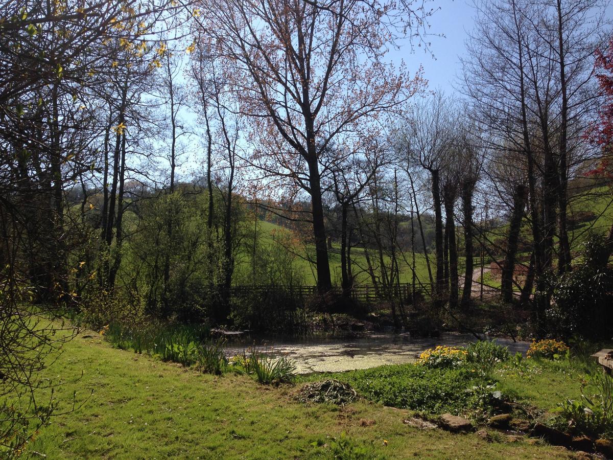 Chiselborough Bagnell Cottage מראה חיצוני תמונה