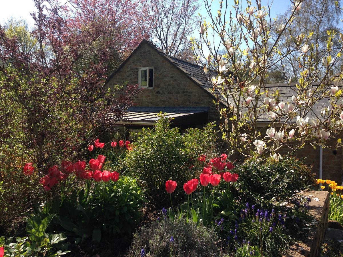 Chiselborough Bagnell Cottage מראה חיצוני תמונה
