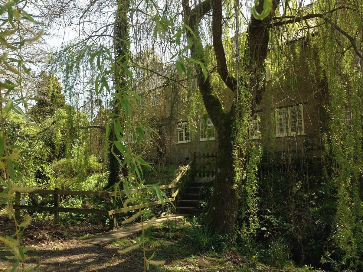 Chiselborough Bagnell Cottage מראה חיצוני תמונה