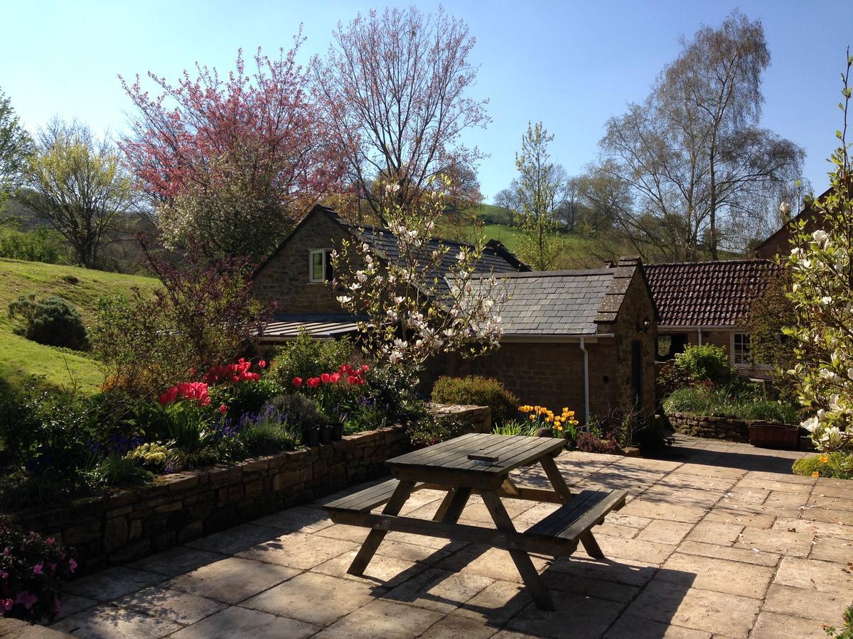 Chiselborough Bagnell Cottage מראה חיצוני תמונה