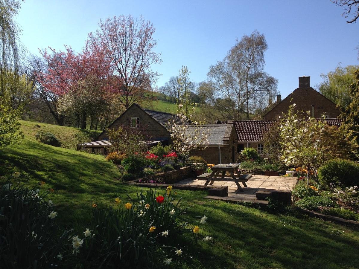 Chiselborough Bagnell Cottage מראה חיצוני תמונה
