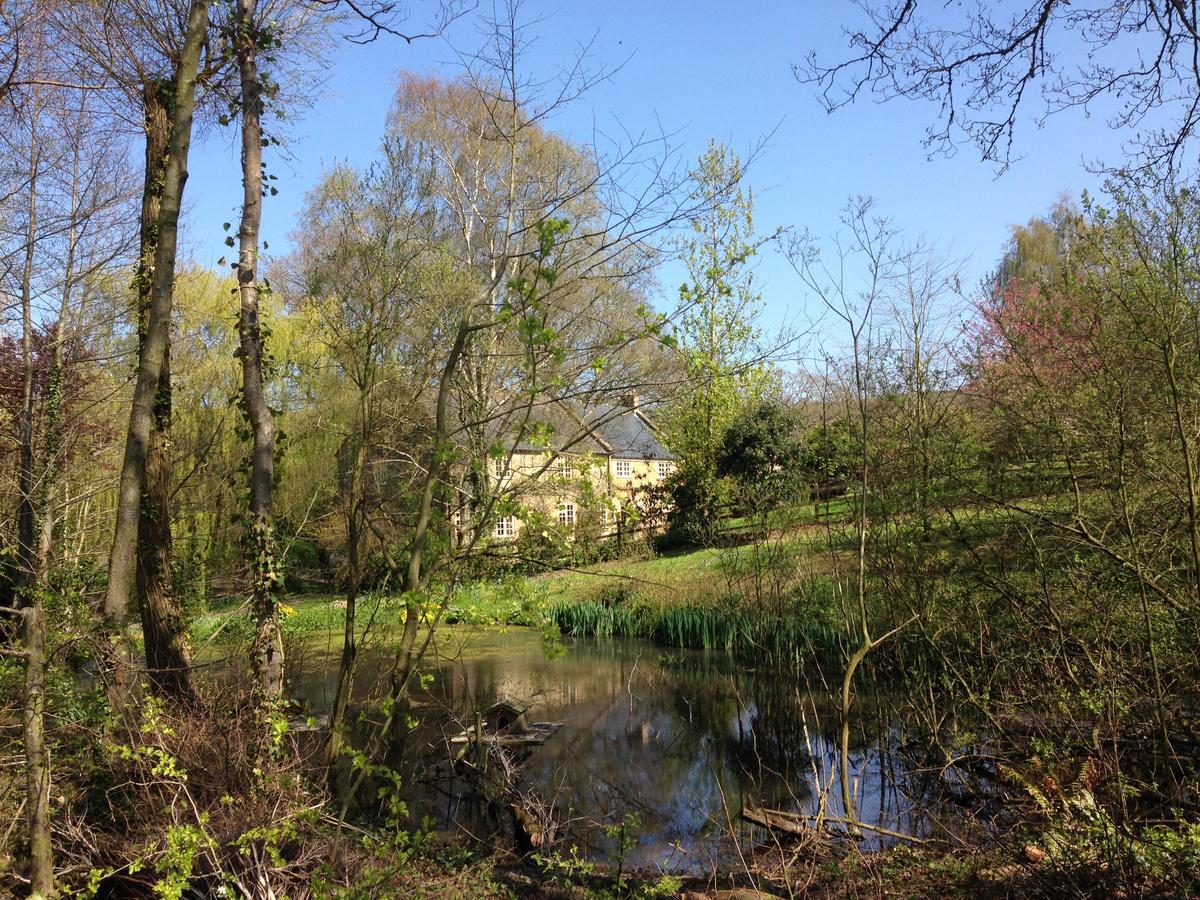 Chiselborough Bagnell Cottage מראה חיצוני תמונה