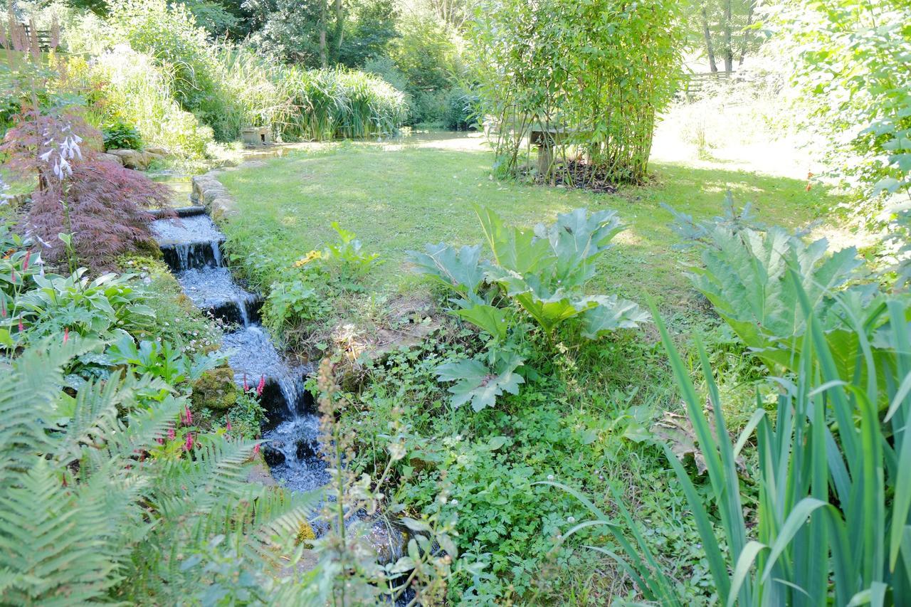 Chiselborough Bagnell Cottage מראה חיצוני תמונה