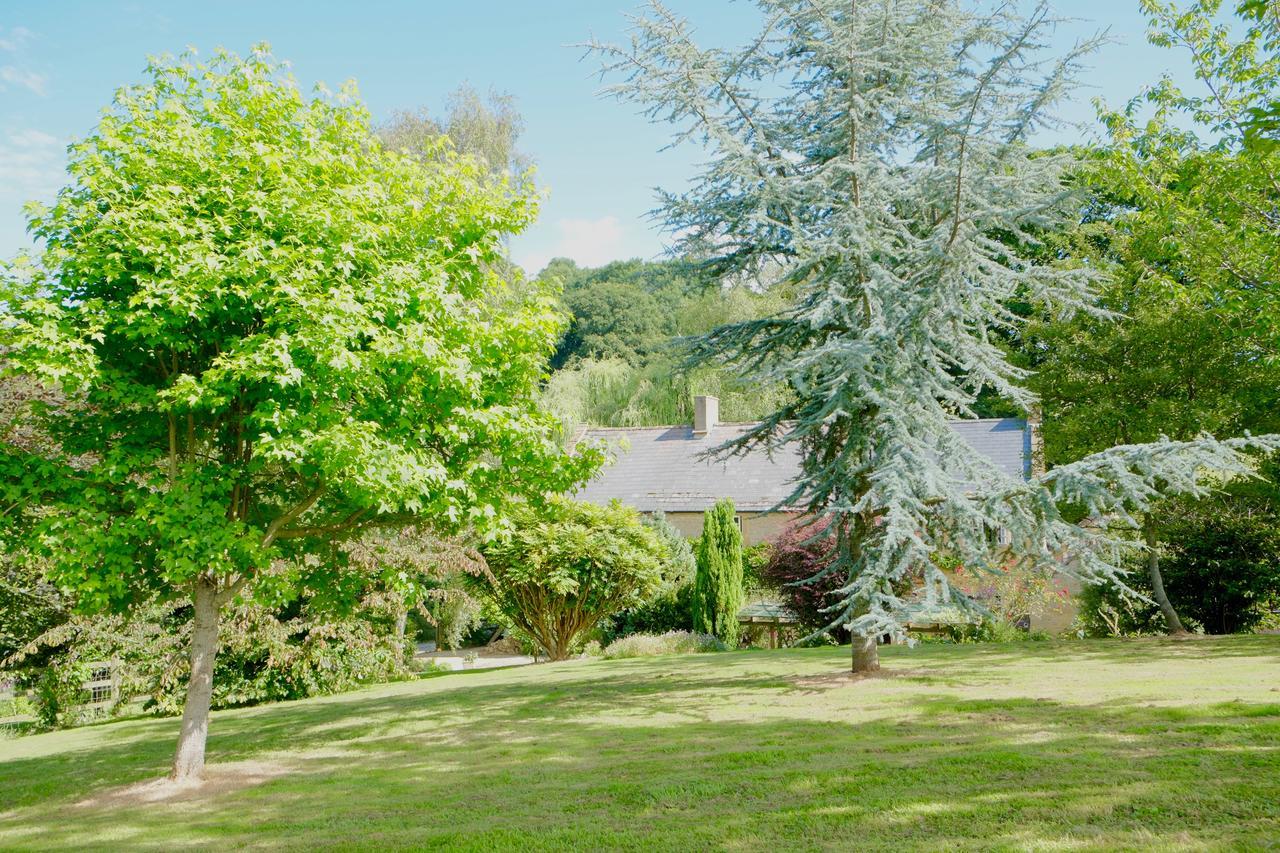 Chiselborough Bagnell Cottage מראה חיצוני תמונה